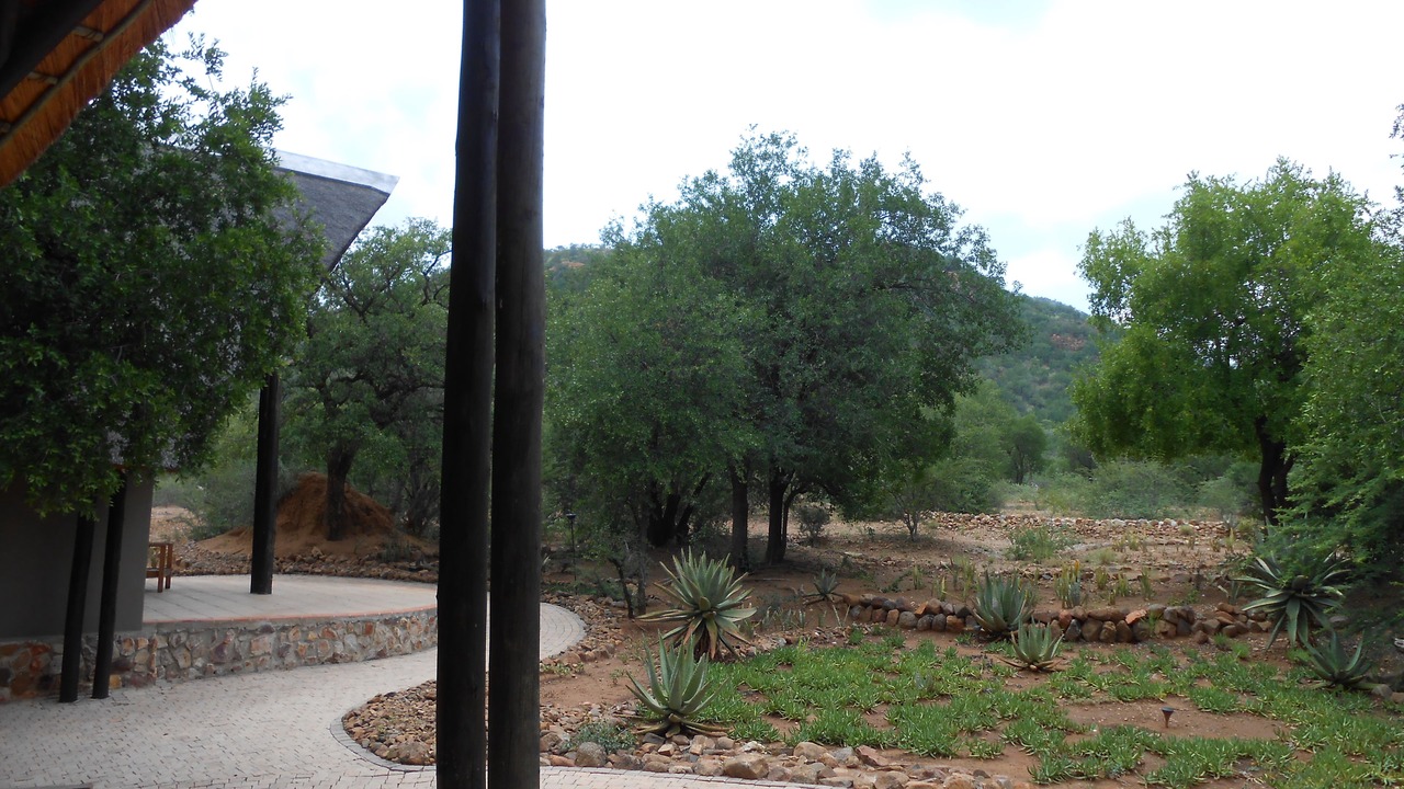 Photo of Outdoor in Pilanesberg National Park