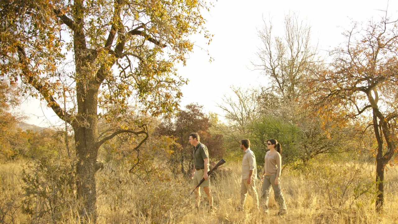 Photo of Outdoor in Pilanesberg National Park