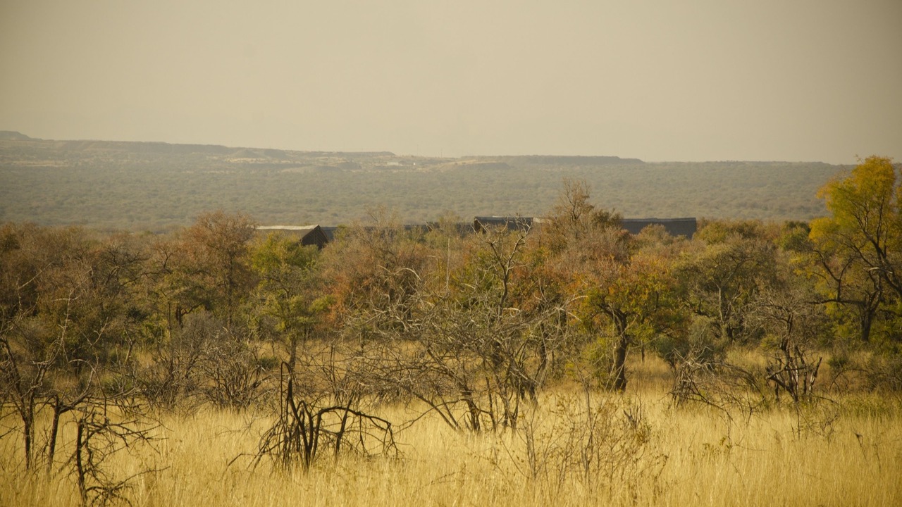 Photo of Outdoor in Pilanesberg National Park