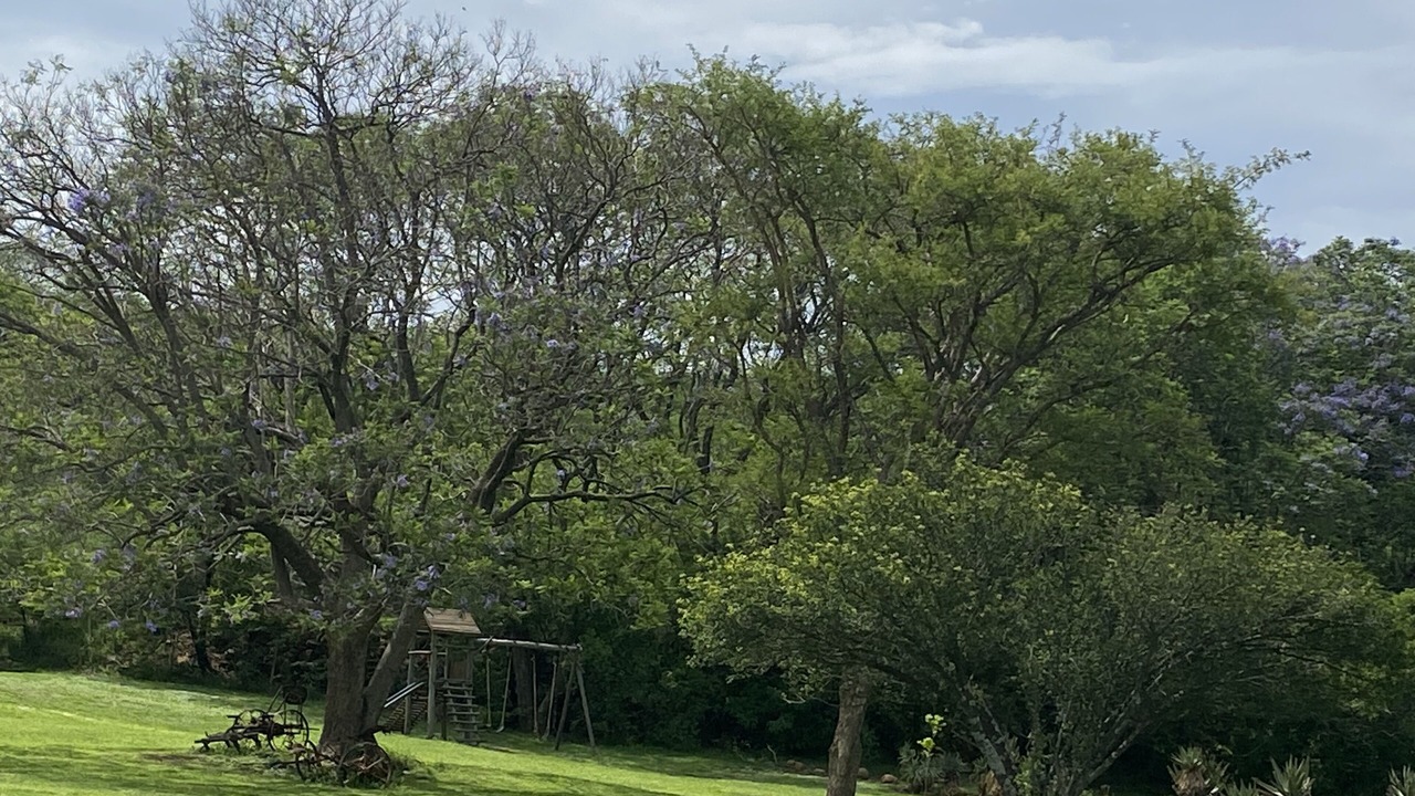 Photo of Outdoor in Okhahlamba