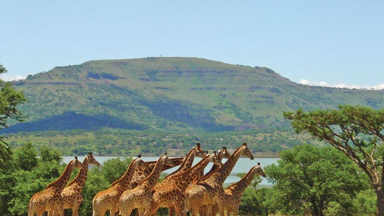Photo of Others in Okhahlamba