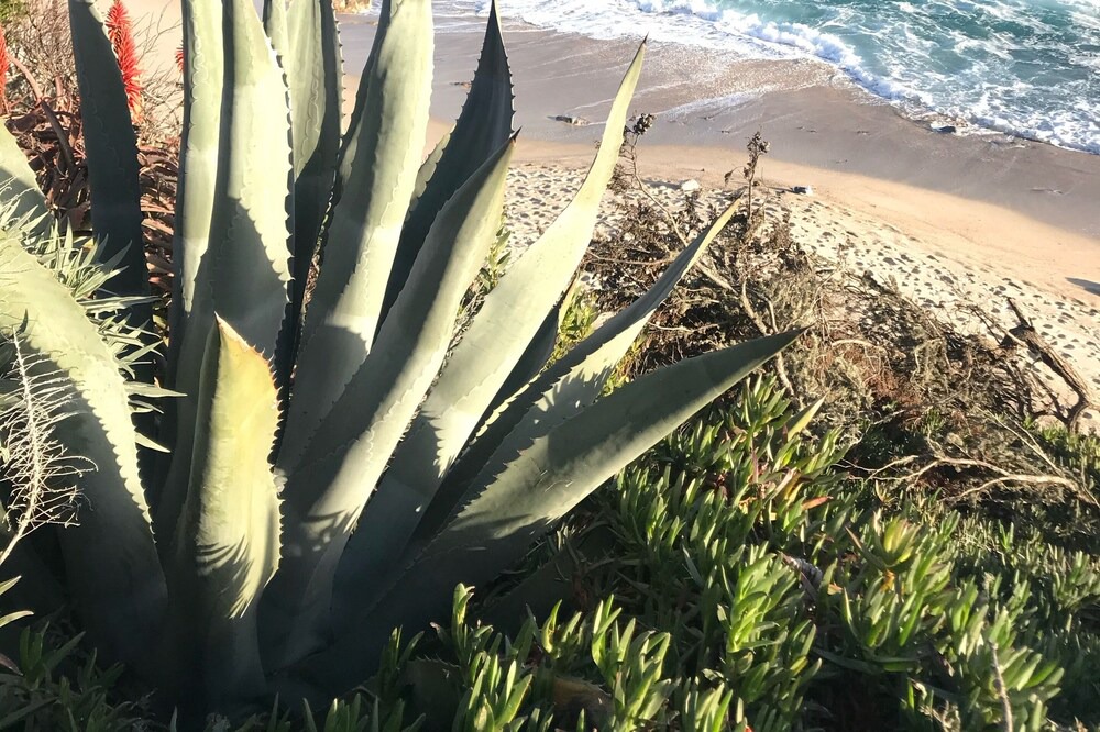 Photo of Others in Carmel