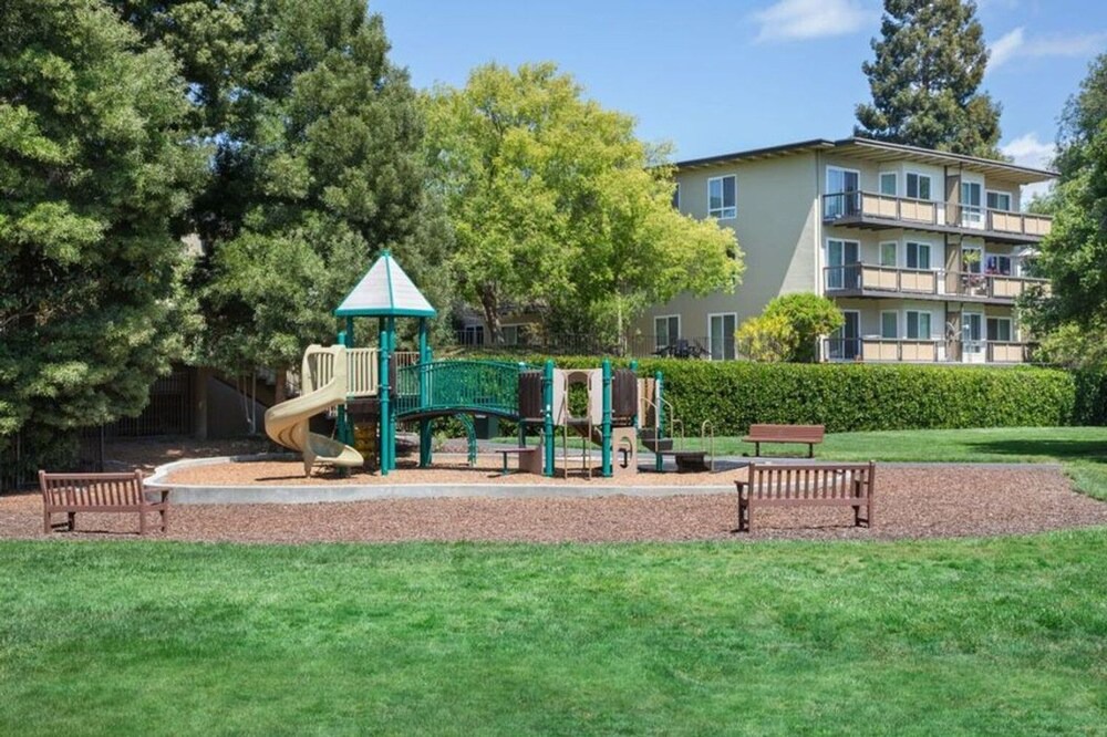 Photo of Others in Palo Alto