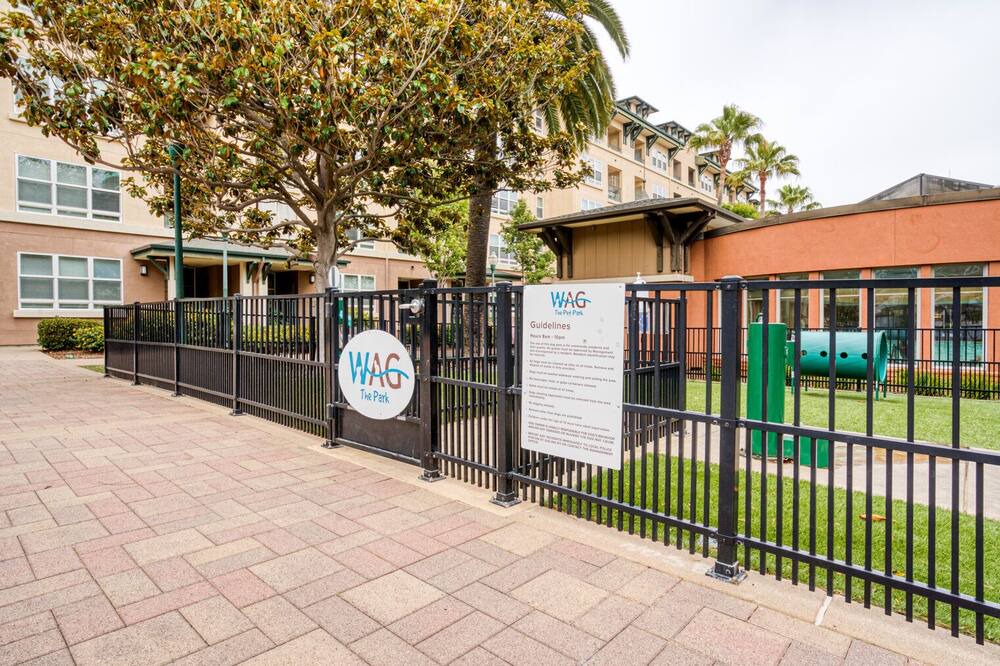 Photo of Outdoor in San Bruno