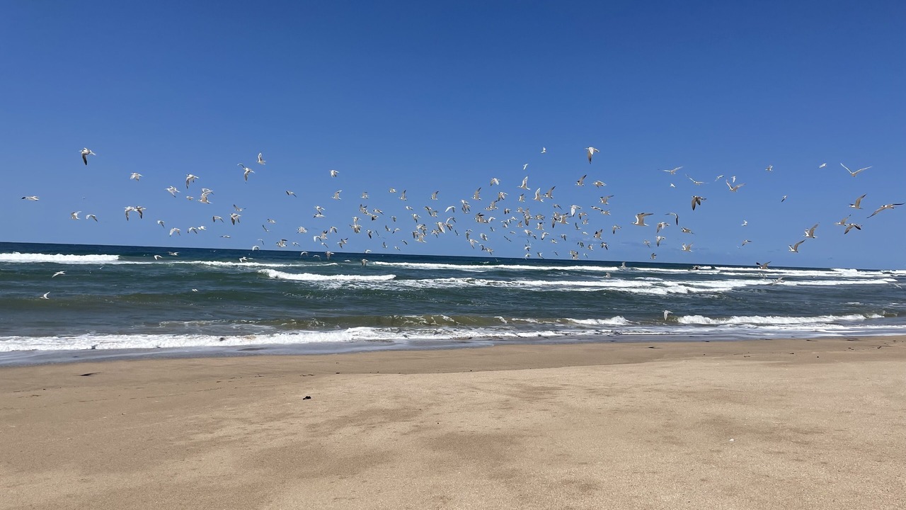 Photo of Outdoor in Port Edward