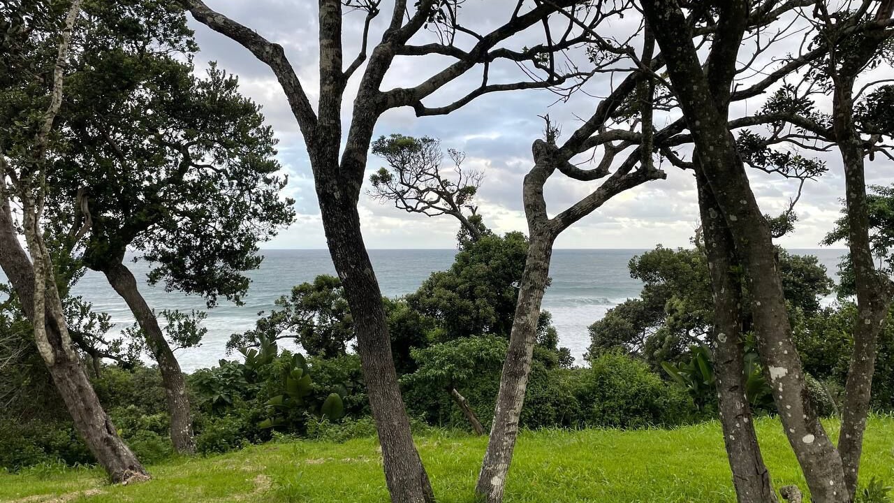 Photo of Outdoor in Port Edward