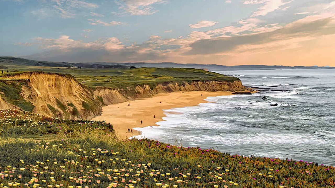 Photo of Others in Moss Beach