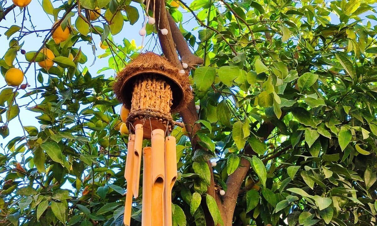 Photo of Outdoor in Eyyubiye