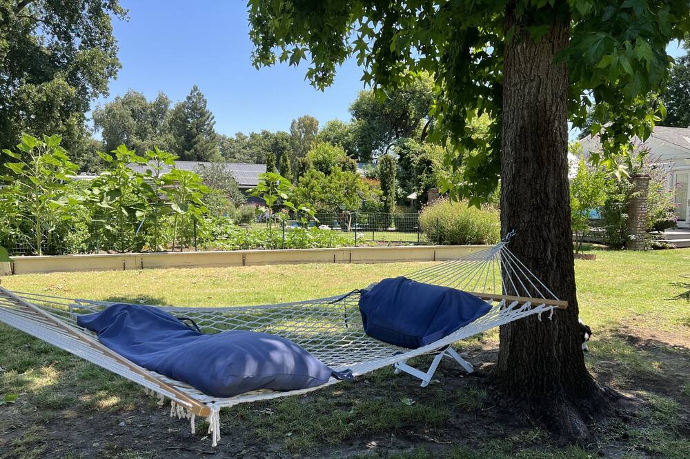 Photo of Others in West Sacramento