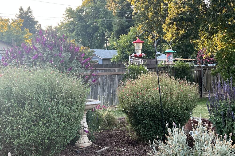 Photo of Outdoor in West Sacramento