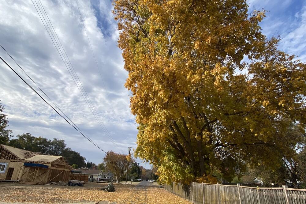 Photo of Others in West Sacramento