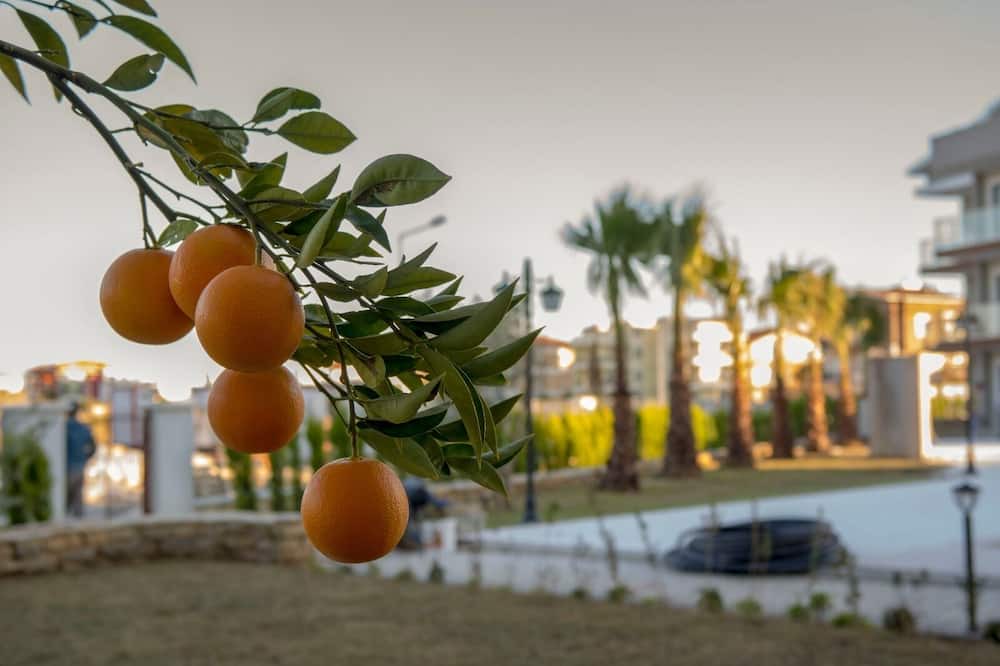 Photo of Others in Belek