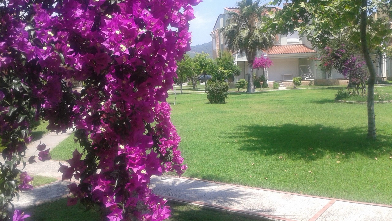 Photo of Outdoor in Camyuva