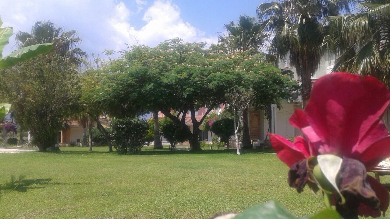 Photo of Outdoor in Camyuva