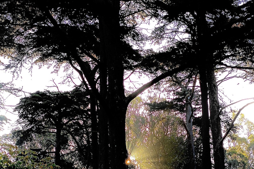 Photo of Outdoor in Outer Richmond