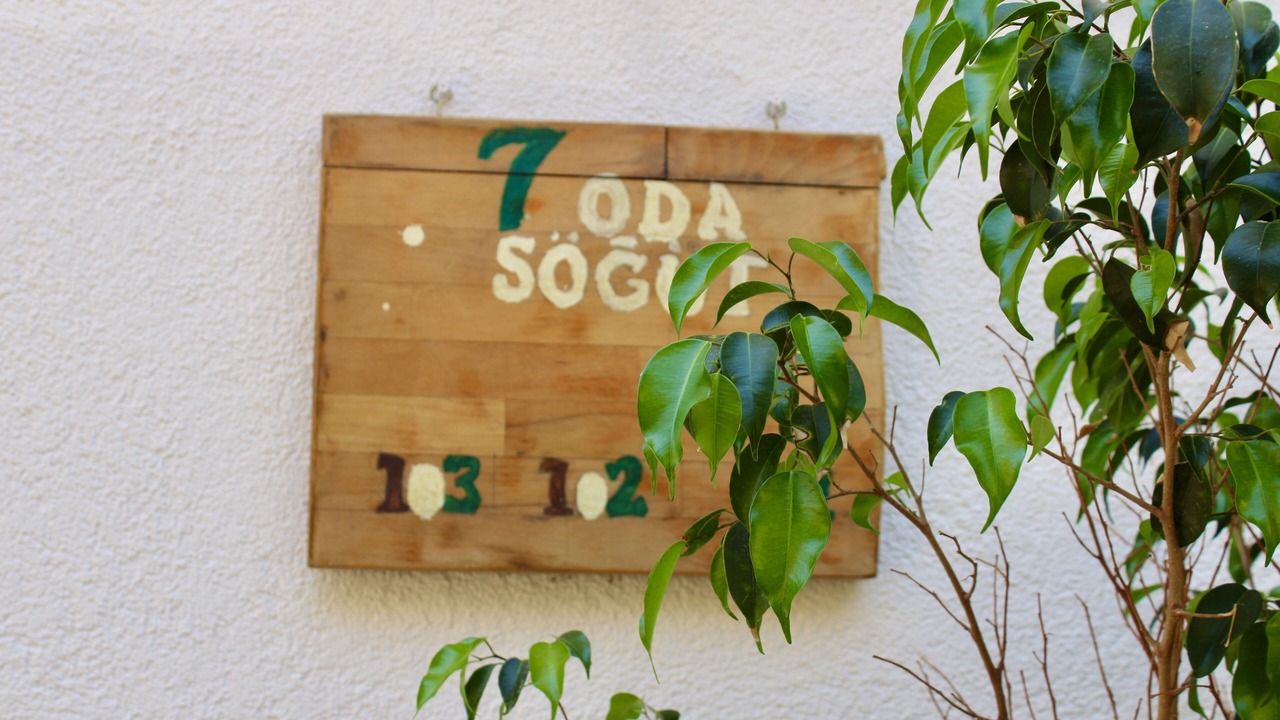 Photo of Outdoor in Sogut