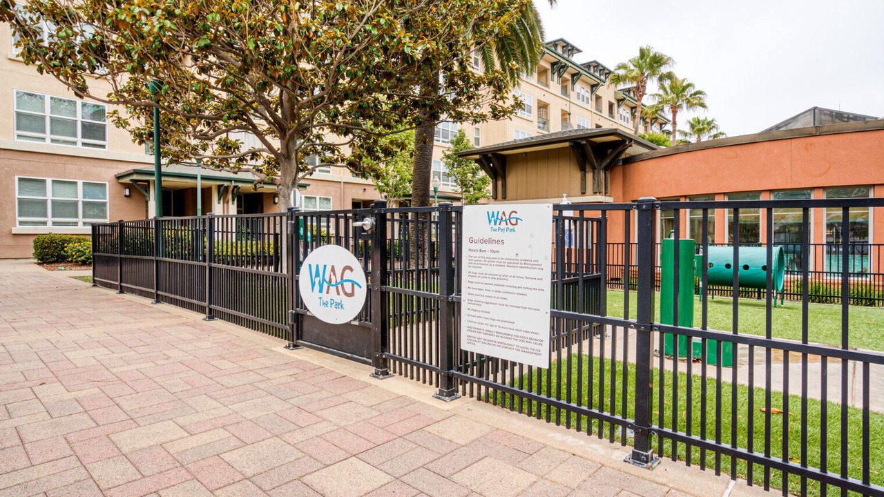 Photo of Outdoor in San Bruno