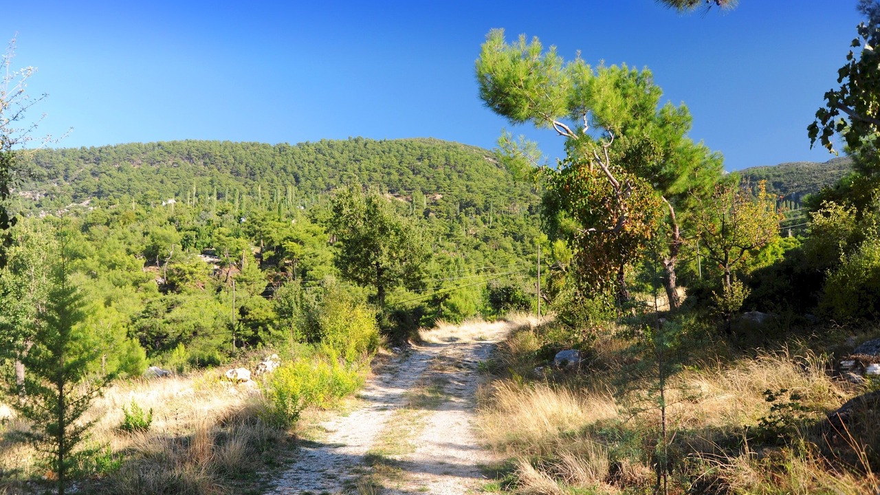 Photo of Outdoor in Uzumlu