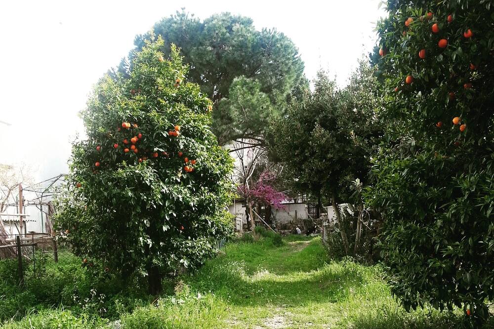 Photo of Outdoor in Kusadasi