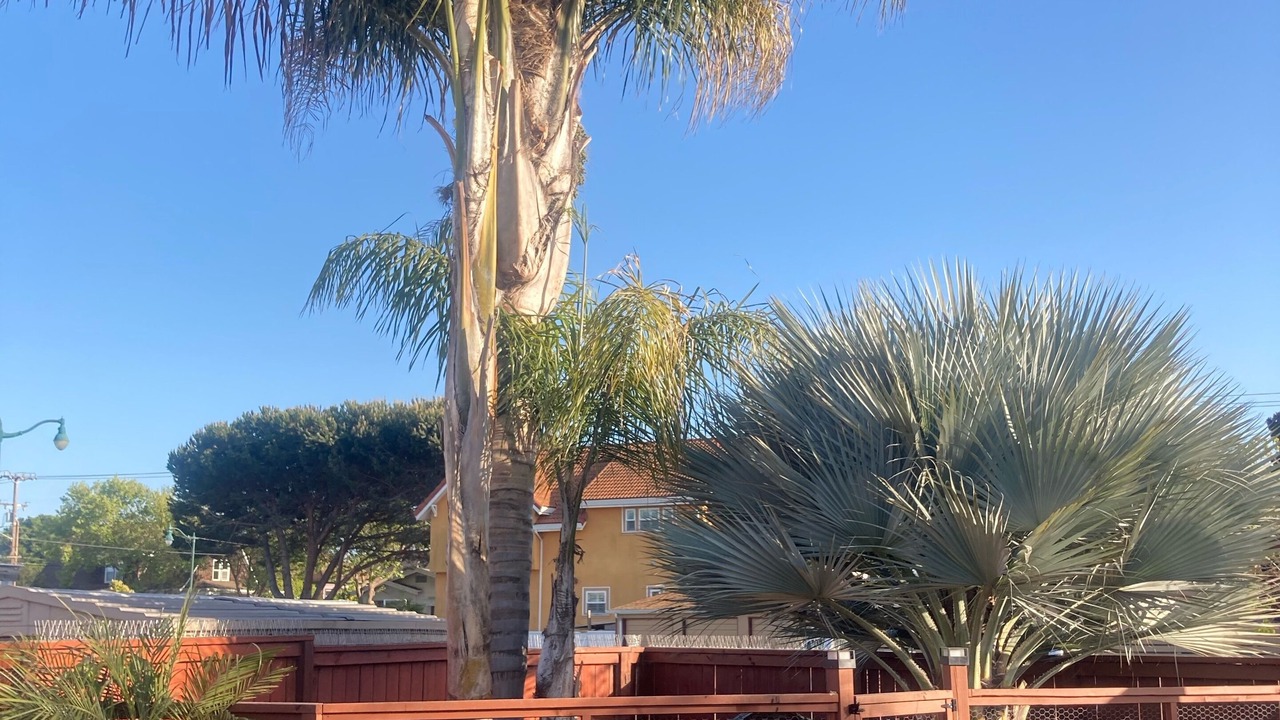 Photo of Outdoor in West Alameda