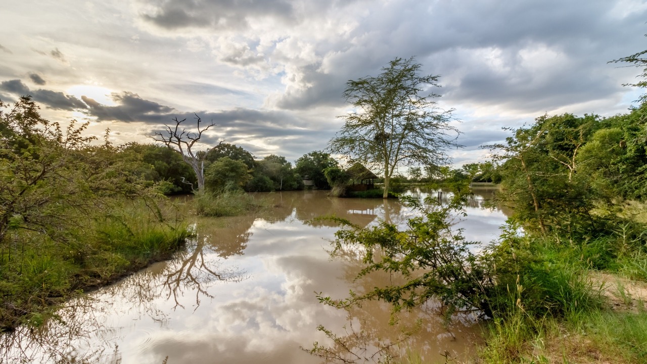 Photo of Others in Thorny Bush Game Reserve