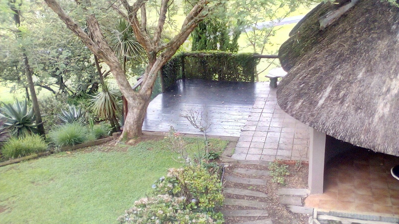 Photo of Outdoor in Cathkin Park