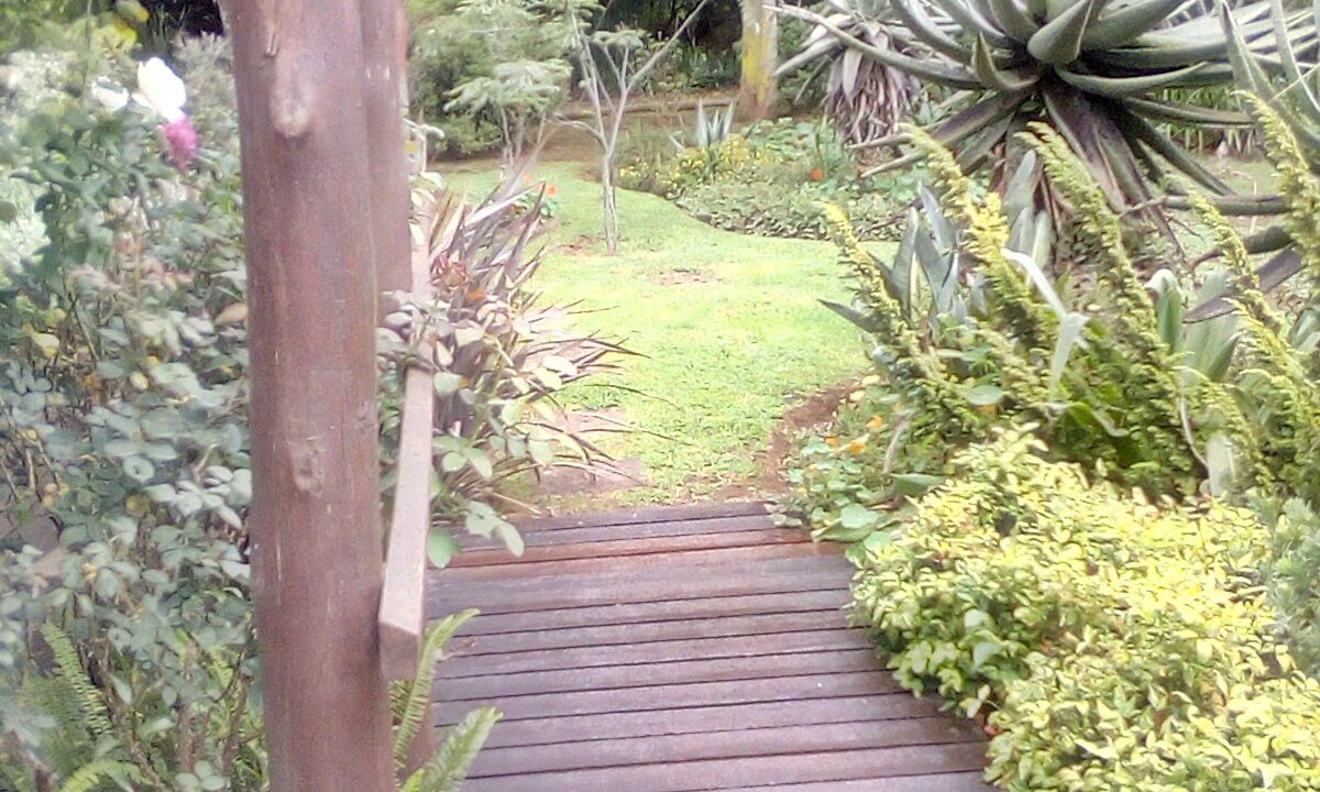 Photo of Outdoor in Cathkin Park