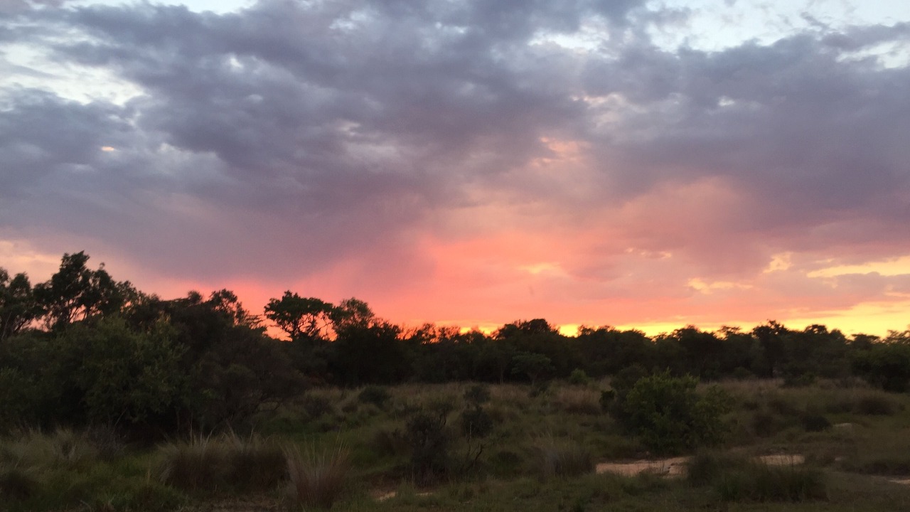 Photo of Outdoor in Waterberg