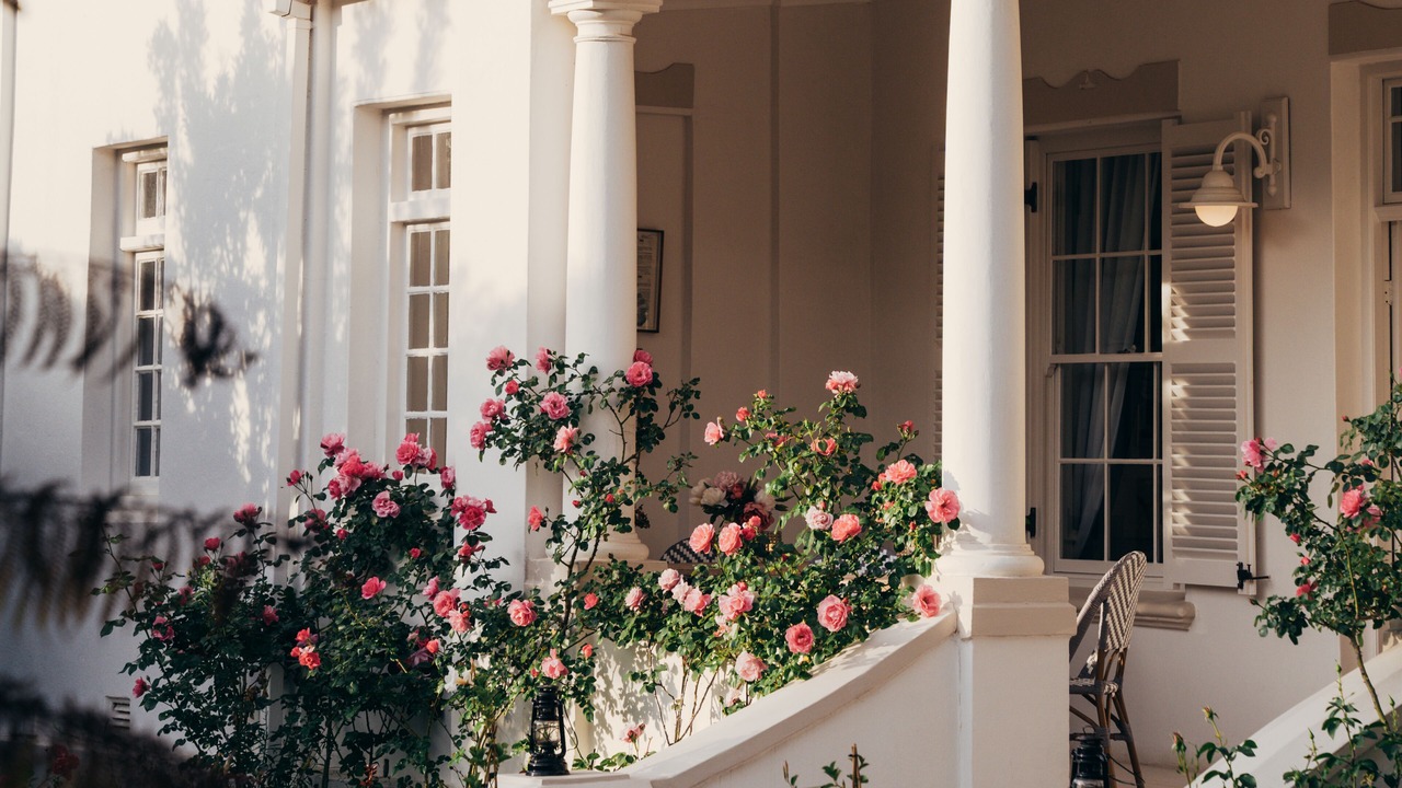 Photo of Outdoor in Franschhoek