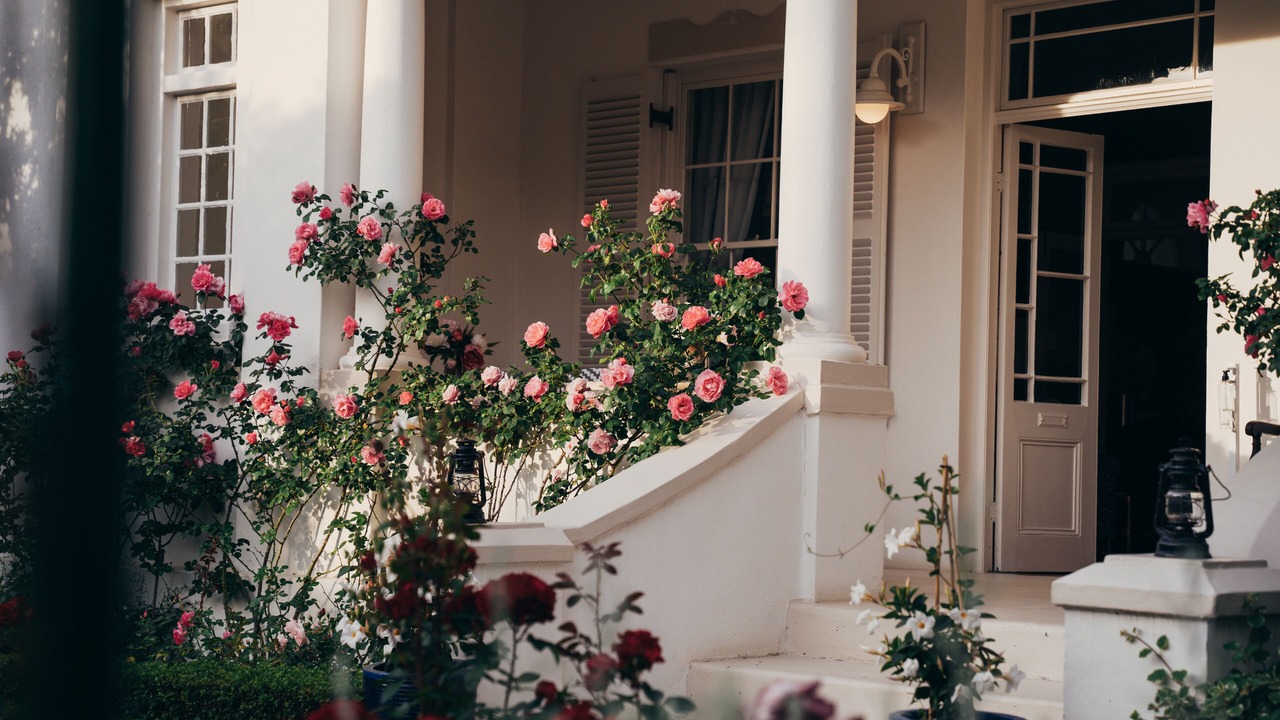 Photo of Patio Balcony in Franschhoek