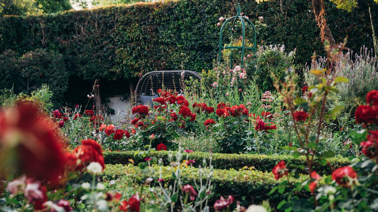 Photo of Outdoor in Franschhoek