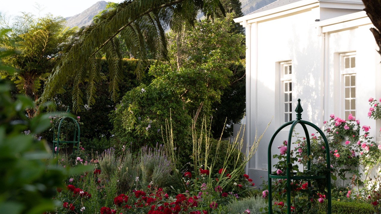 Photo of Outdoor in Franschhoek