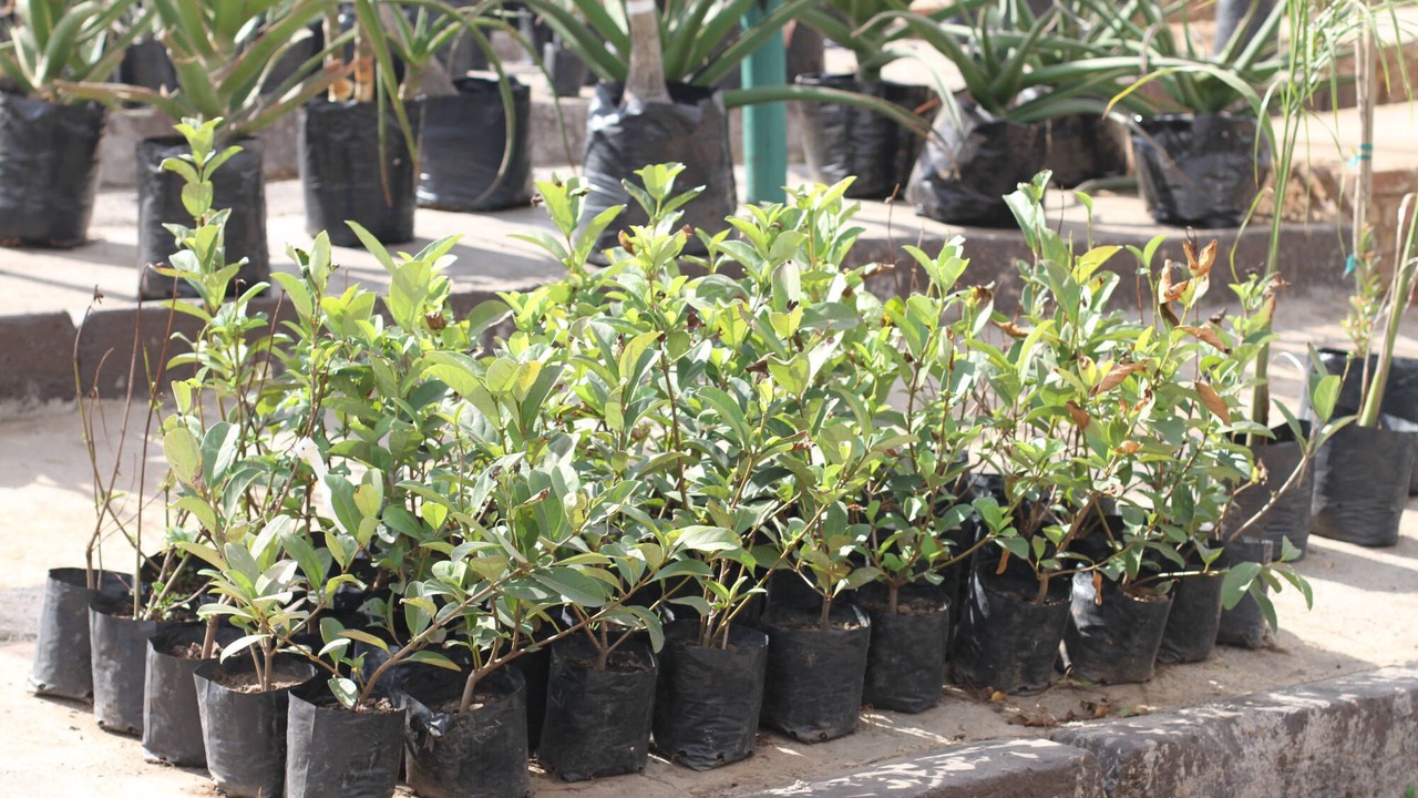 Photo of Outdoor in Emalahleni