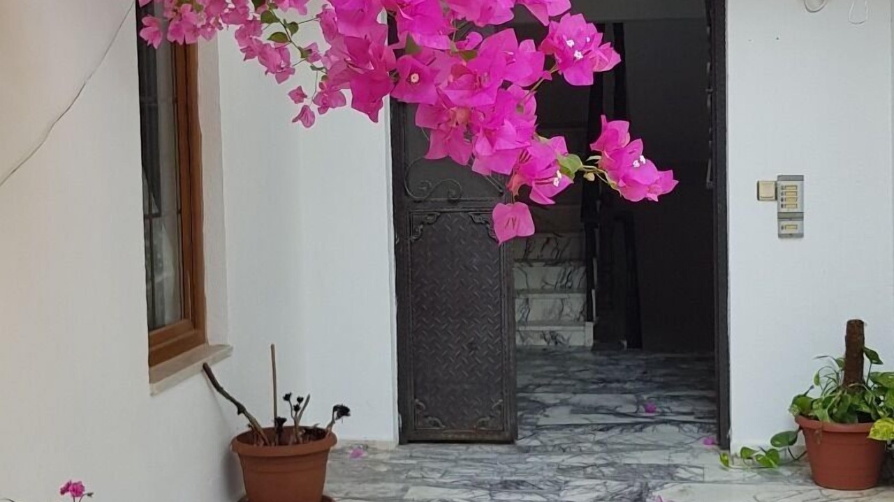 Photo of Outdoor in Akyaka