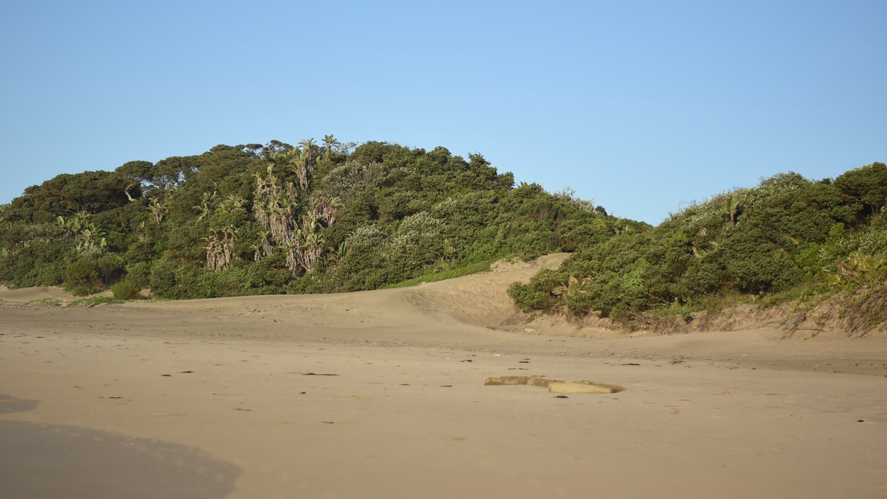 Photo of Others in Kentani