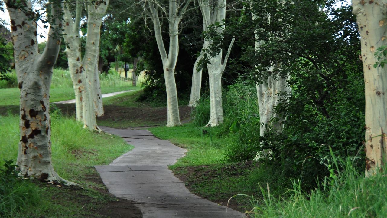 Photo of Outdoor in Hazyview