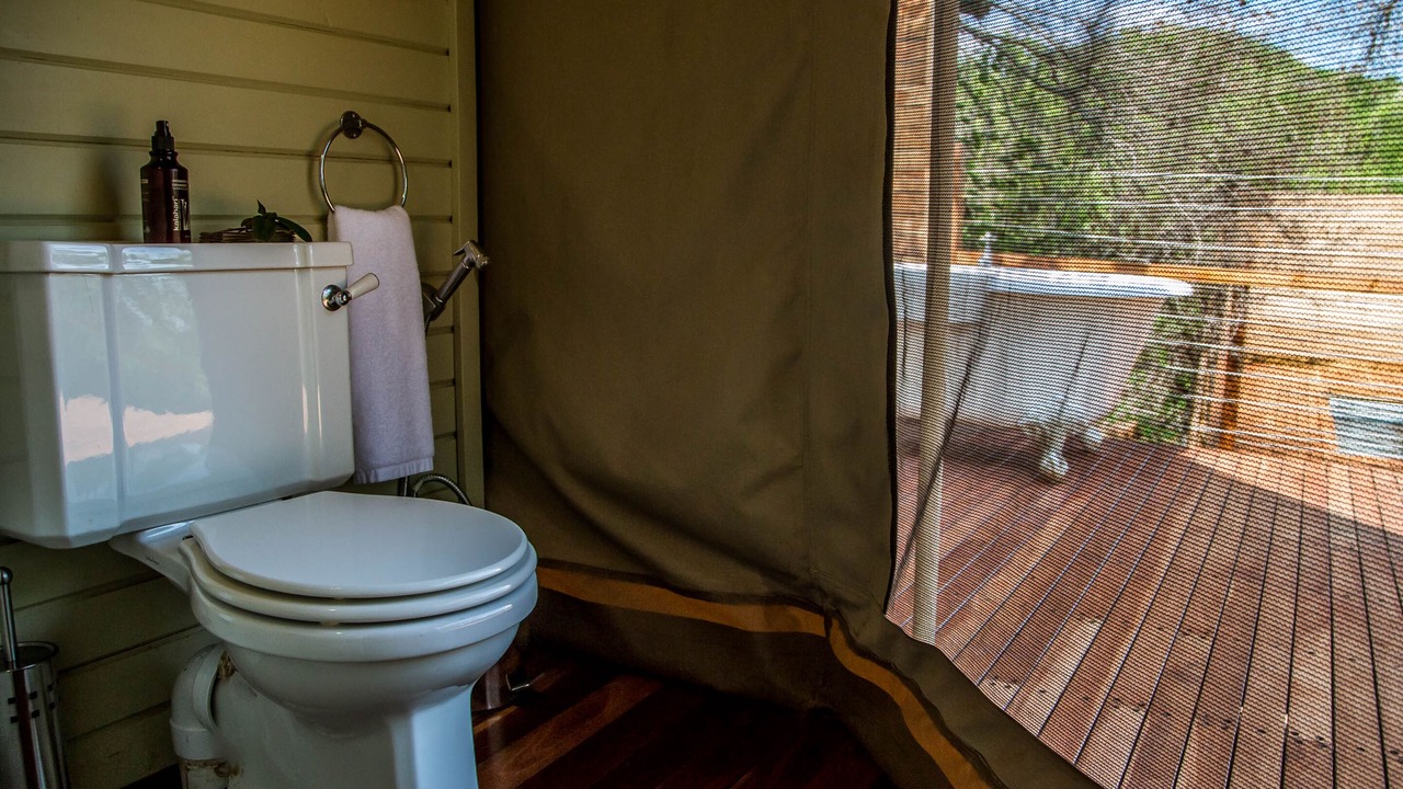 Photo of Bathroom in Badplaas