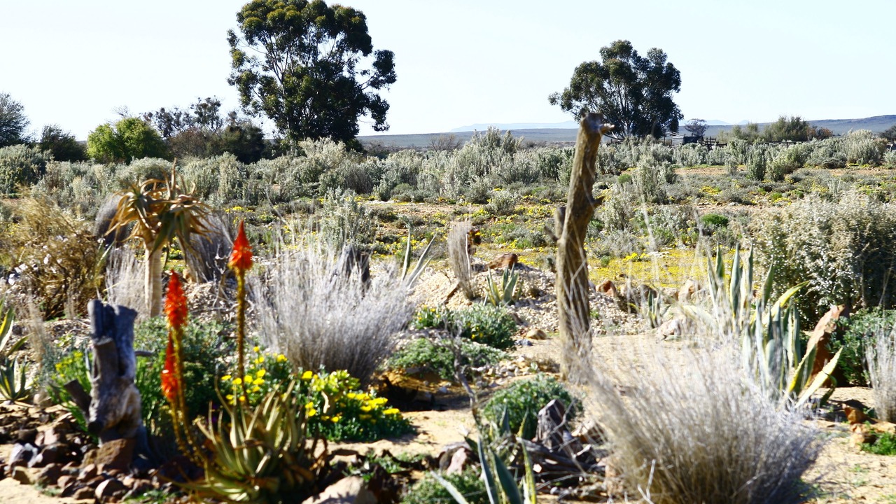 Photo of Outdoor in Witzenberg