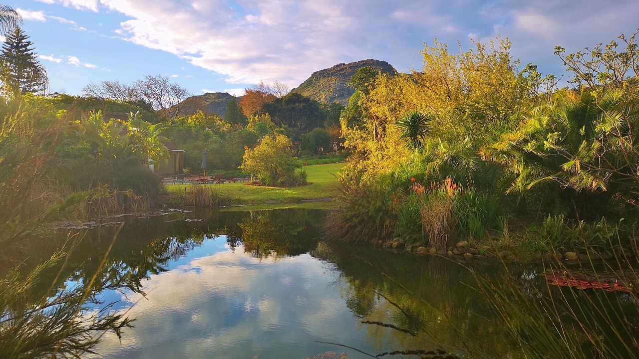 Photo of Outdoor in Franschhoek