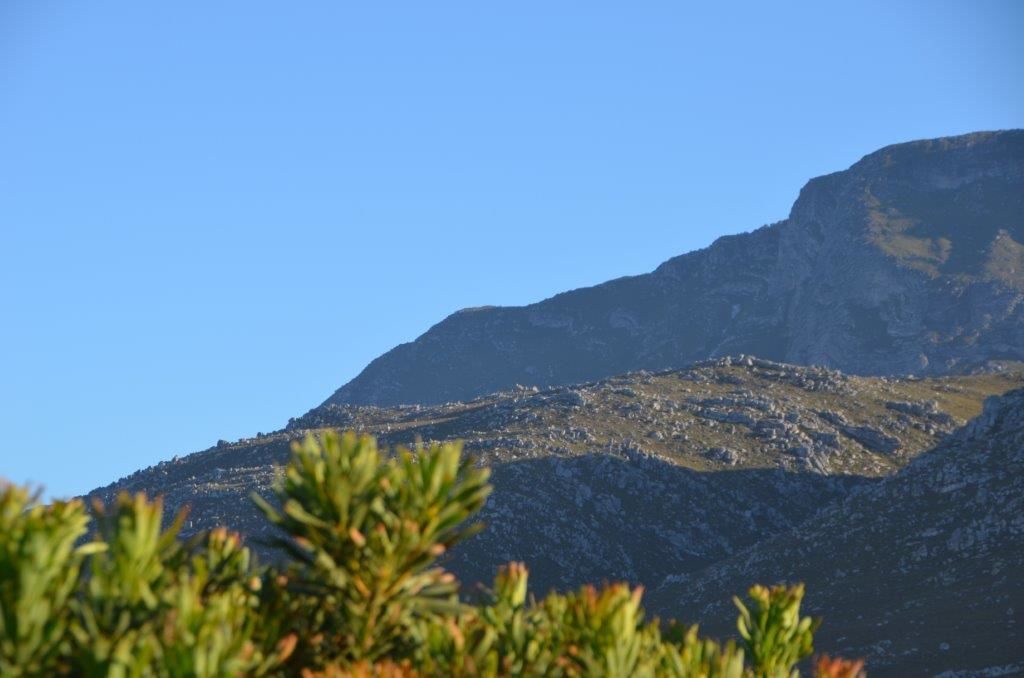 Photo of Others in Pringle Bay