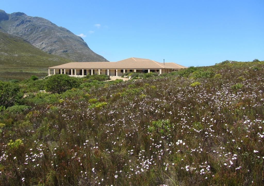 Photo of Outdoor in Pringle Bay