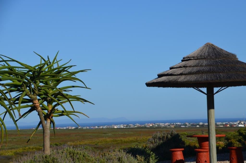 Photo of Others in Pringle Bay