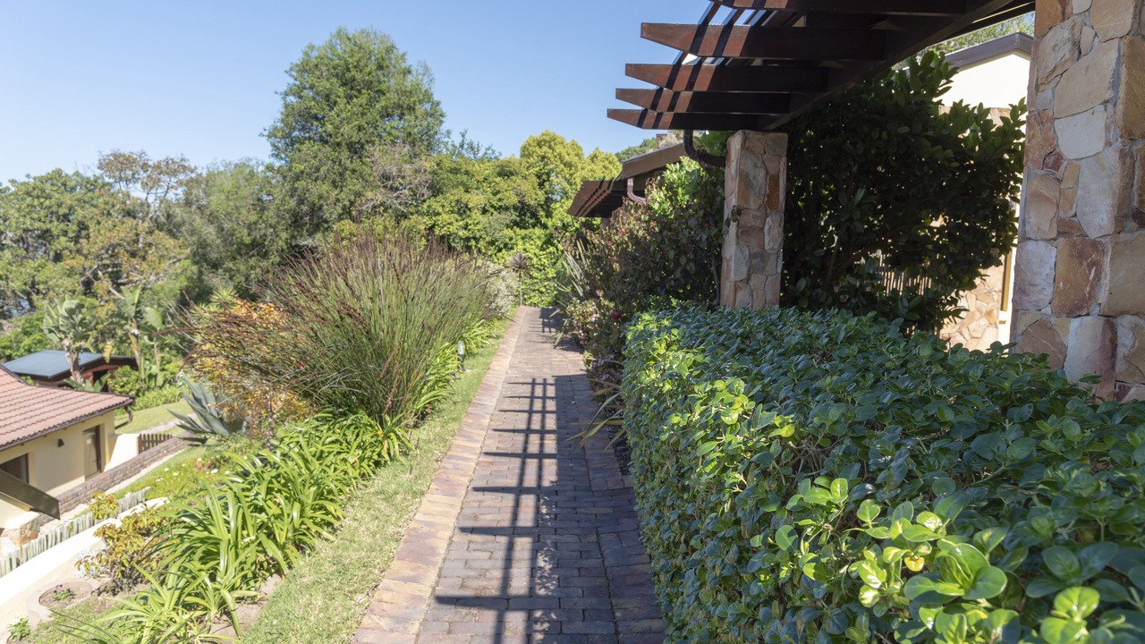 Photo of Outdoor in Paradise