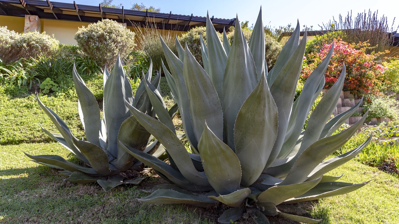 Photo of Outdoor in Paradise
