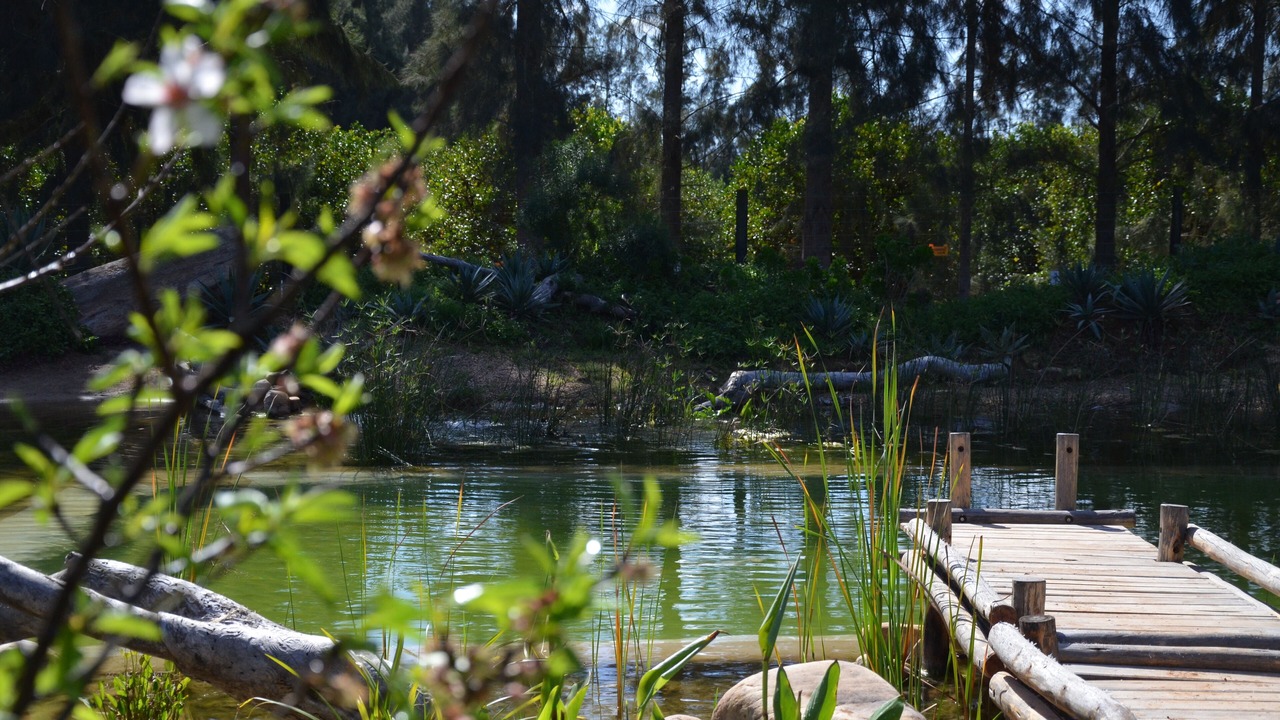 Photo of Outdoor in Addo