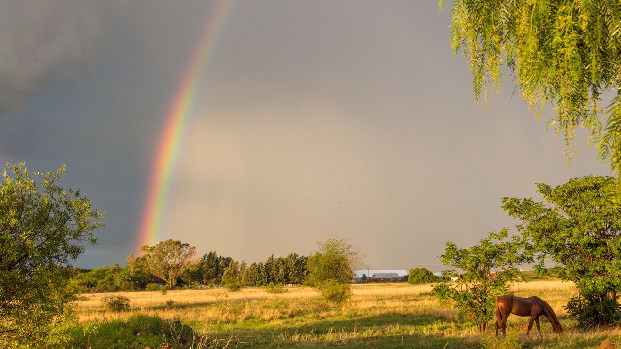 Photo of Outdoor in Bloemfontein