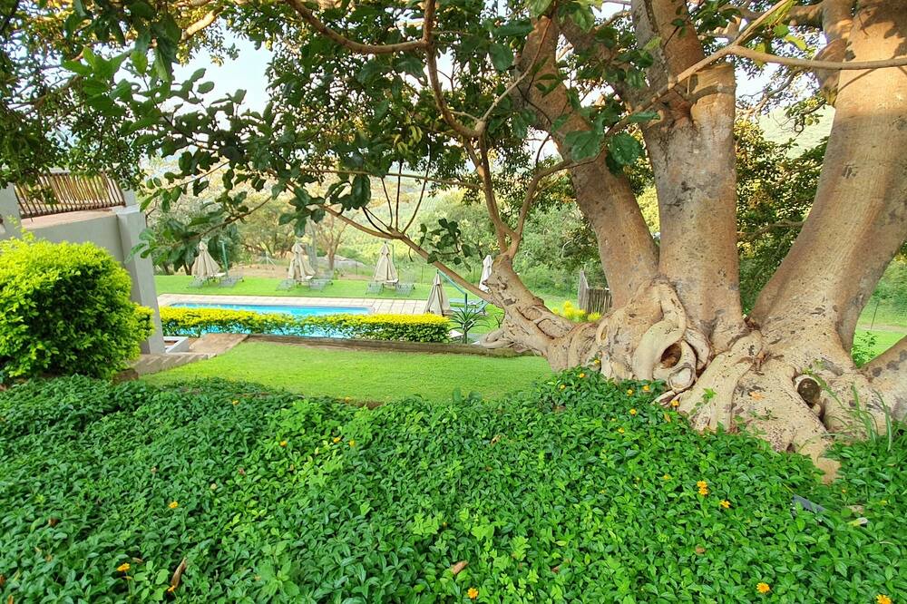 Photo of Outdoor in Hazyview