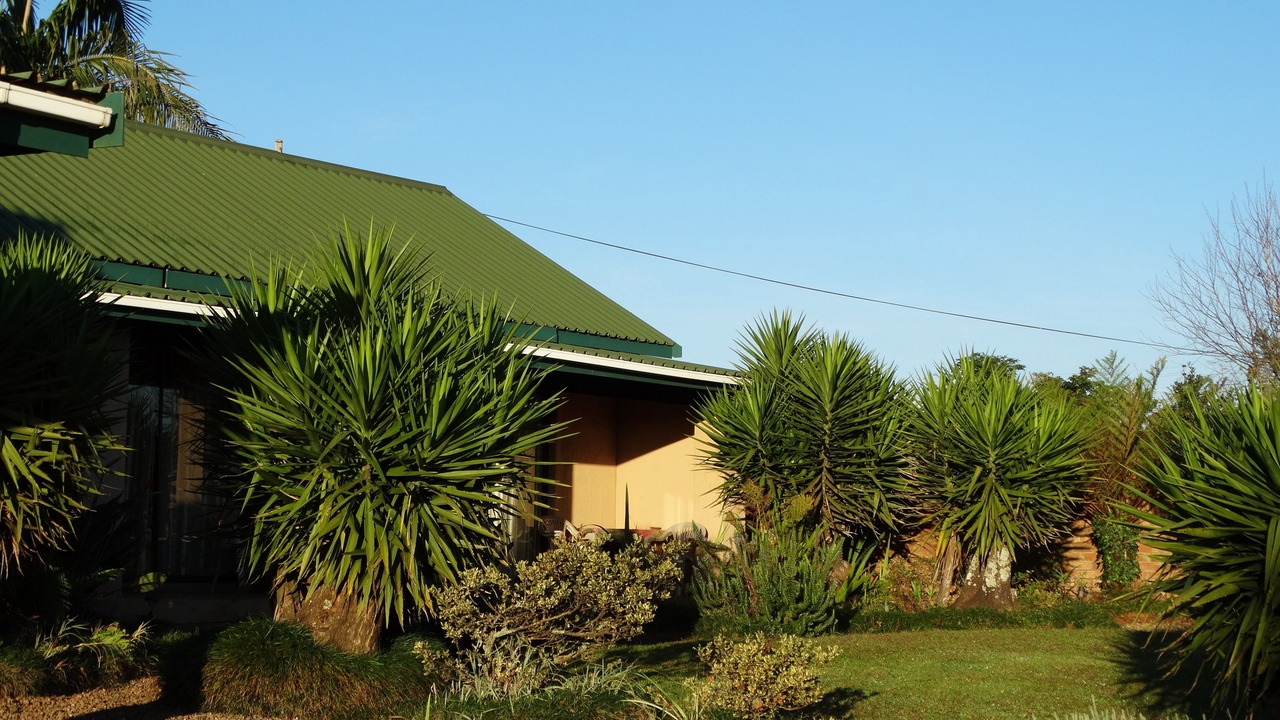 Photo of Outdoor in Graskop