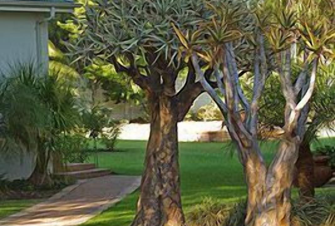 Photo of Outdoor in Oudtshoorn