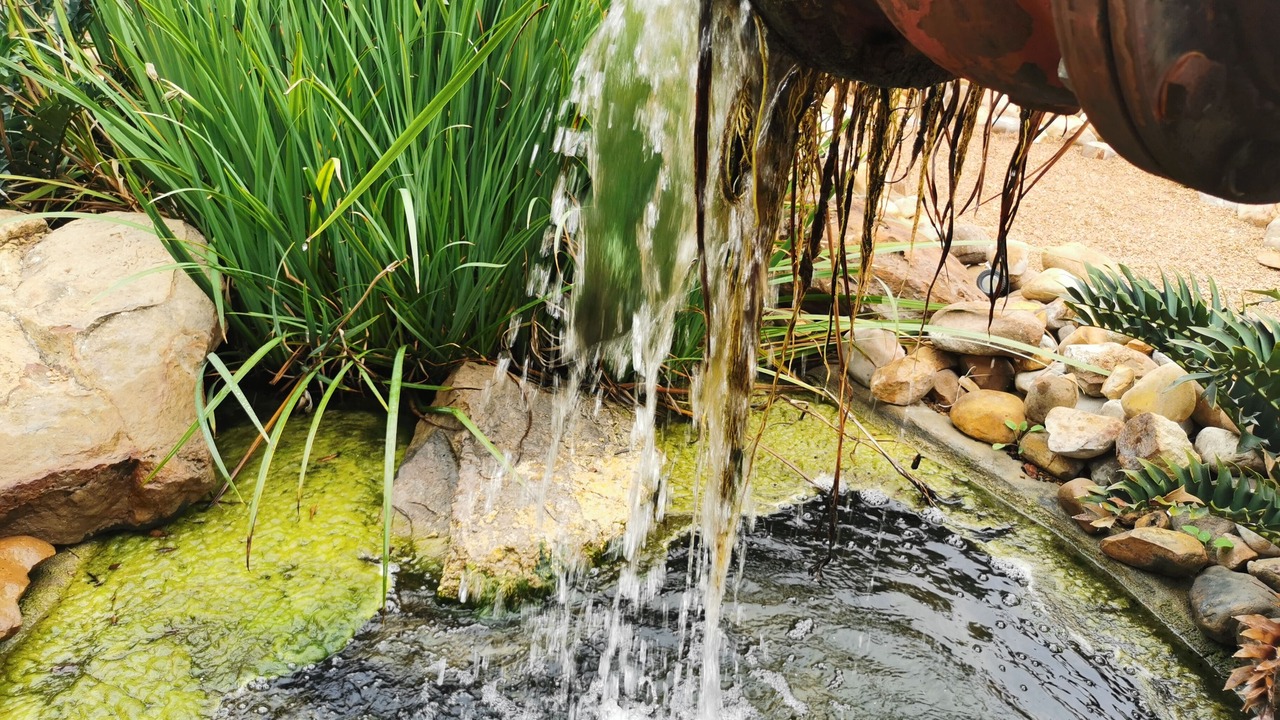 Photo of Outdoor in Eikenbosch
